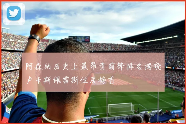 阿森纳历史上最昂贵前锋排名揭晓卢卡斯佩雷斯位居榜首